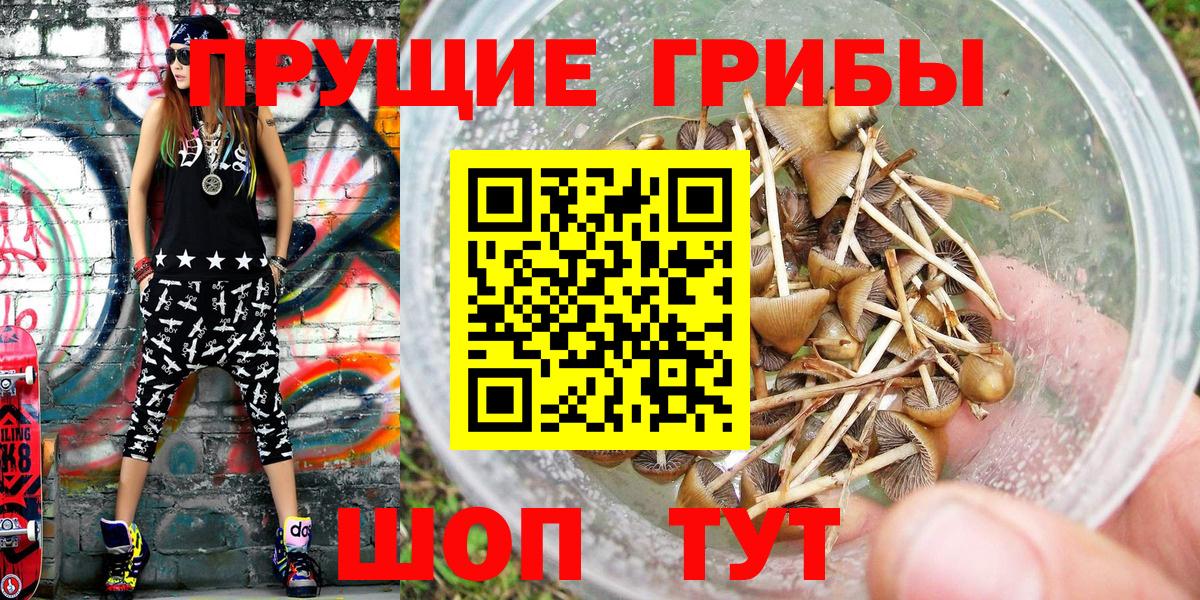 Галлюциногенные грибы MAGIC MUSHROOMS  Галлюциногенные грибы ЛСД  Вход с VPN  Туймазы 